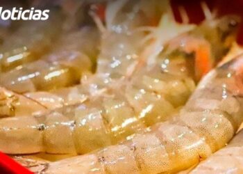 Comercios del Centro incrementaron ventas hasta en un 80% gracias a Carnaval