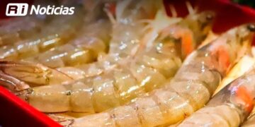 Comercios del Centro incrementaron ventas hasta en un 80% gracias a Carnaval