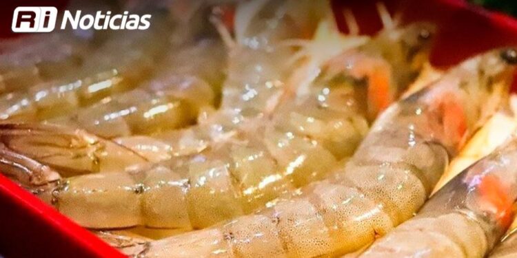 Comercios del Centro incrementaron ventas hasta en un 80% gracias a Carnaval