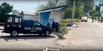 Localizan a mujer sin vida en colonia Humaya en Culiacán