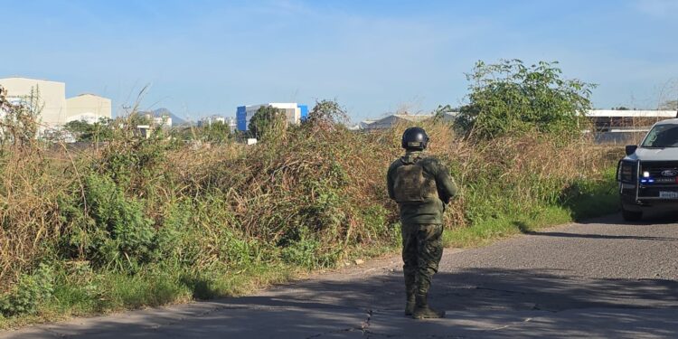 Localizan a hombre sin vida en la colonia El Palmito Viejo, en Culiacán