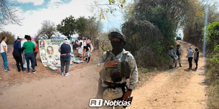 Colectivo Tesoros Perdidos aguarda instalación de módulos de identificación en El Verde