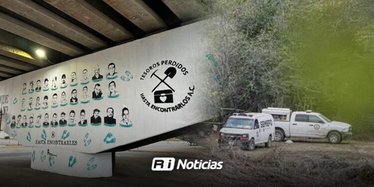 Colectivos de Sinaloa y Durango mantienen comunicación por hallazgos en El Verde