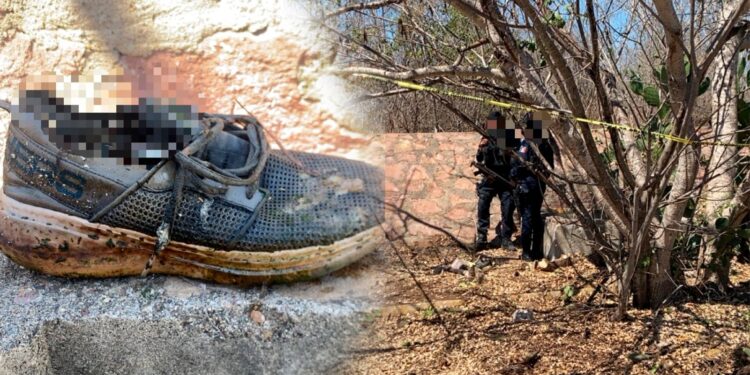 Localizan osamenta al sur de Mazatlán