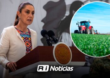 Sheinbaum sostendrá encuentros con empresarios y productores en su visita a Sinaloa