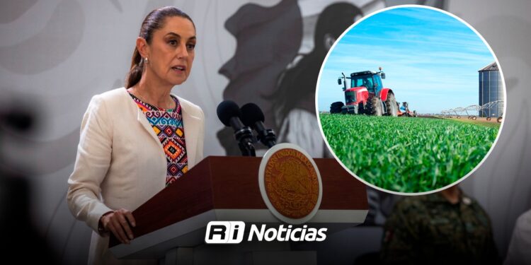 Sheinbaum sostendrá encuentros con empresarios y productores en su visita a Sinaloa