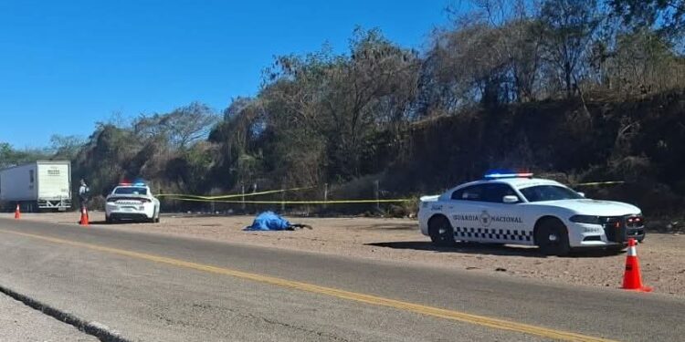 Localizan a hombre sin vida junto a la carretera Mazatlán-Tepic al sur de Mazatlán