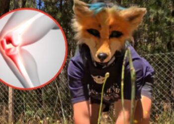 Estos son los graves daños físicos que podría sufrir una persona si fuera THERIAN por 24 horas