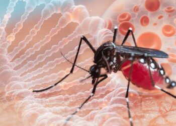 Casos de dengue aumentan a 552 en el país; sólo 12 estados está libres de contagios