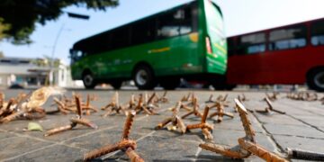 “Es un gran avance para el mundo”: Landau celebra abatimiento de ‘el Mencho’