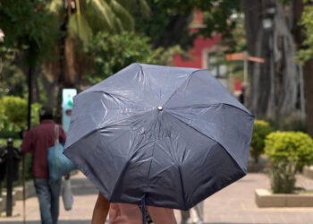 Onda de calor se establece en cuatro estados, ¿Cuáles son?