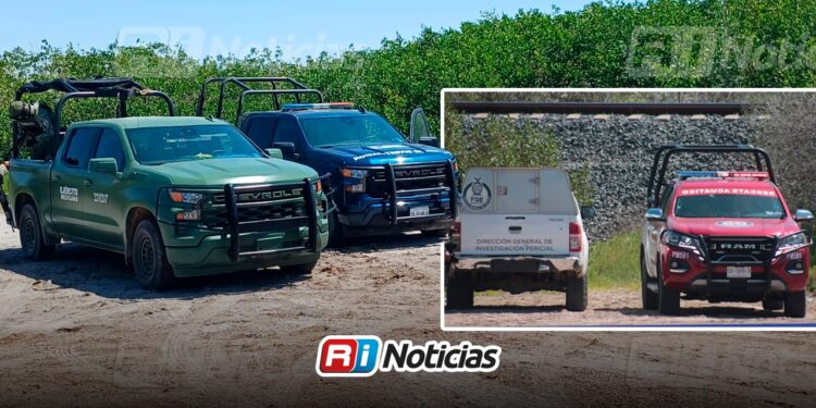 Localizan dos cuerpos sin vida en el Ejido El Castillo al sur de Mazatlán
