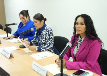 Comisión de Asuntos Obreros reporta 45 iniciativas en análisis y avances en dictaminación