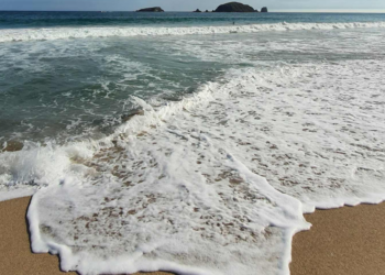 Semana Santa 2026: ¿Cuáles son las playas aptas para vacacionar en México?