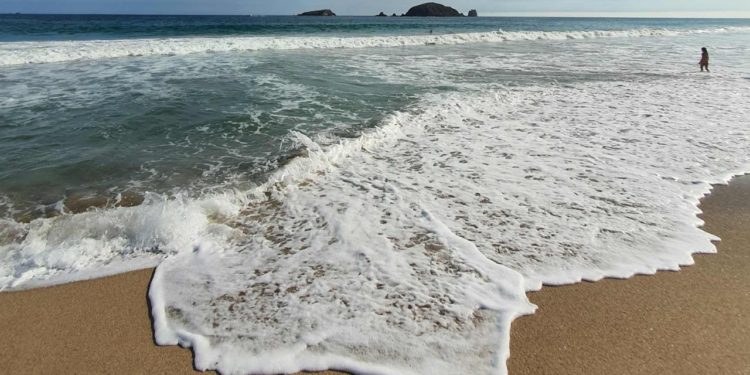 Semana Santa 2026: ¿Cuáles son las playas aptas para vacacionar en México?