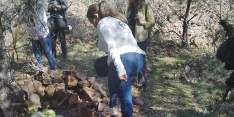 Tras años de recorridos, la madre buscadora Ceci Flores encuentra restos de su hijo en Sonora