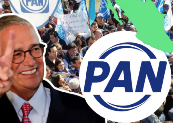 Panistas quieren a Salinas Pliego como candidato presidencial