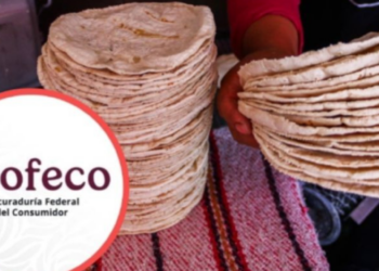 ¿Multarán a los negocios que vendan tortillas en hieleras? Profeco se pronuncia ante la polémica