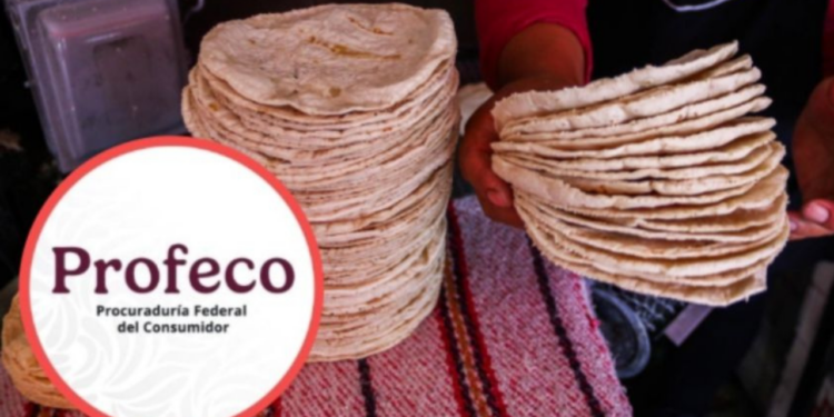 ¿Multarán a los negocios que vendan tortillas en hieleras? Profeco se pronuncia ante la polémica