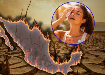 Canícula traerá más calor y menos lluvias este año, y podría extenderse hasta agosto, afectando mucho más a estos estados con mayor radiación solar y riesgo de deshidratación: ¿Cuándo empieza?