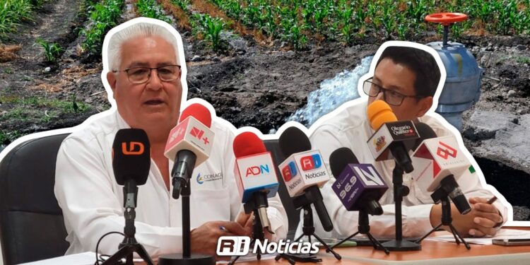Presas de Sinaloa al 24% garantizan riego del ciclo agrícola
