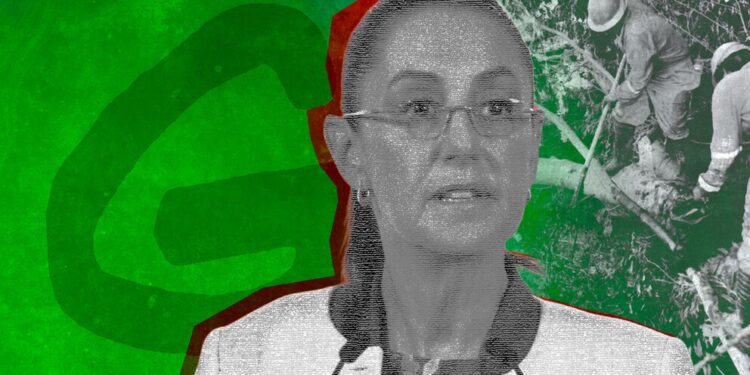 Sheinbaum arremete contra Greenpeace por difundir imagen de derrame en Veracruz en el Golfo de México: “Esa imagen es falsa”