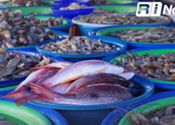 “Vengan y compren”, Changueras de Mazatlán viven dura crisis económica