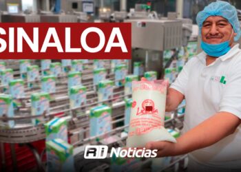 Daremos otro voto de confianza al Gobierno Federal para que eche a andar Planta de Liconsa en Mazatlán: Ganaderos