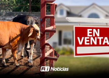 De ordeñar vacas a vender casas; ganaderos incursionan en otros giros por mala economía