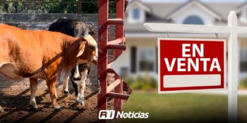 De ordeñar vacas a vender casas; ganaderos incursionan en otros giros por mala economía