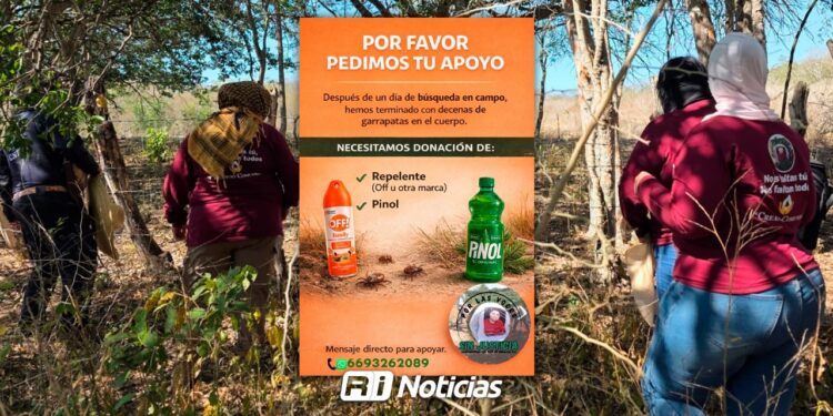 Llamado a la solidaridad en Mazatlán: Voces Sin Justicia busca donaciones para proteger a rastreadoras de picaduras y maleza