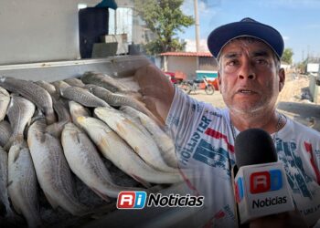 Embarcadero de la Isla de la Piedra en Mazatlán vive en abandono; “no has ido muy mal”, señalan