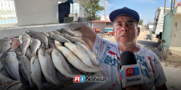 Embarcadero de la Isla de la Piedra en Mazatlán vive en abandono; “no has ido muy mal”, señalan