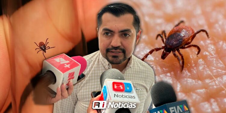 Peligro por rickettsia: El riesgo de confundir síntomas y retrasar la atención médica