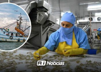 Veda de camarón deja sin empleo a casi 200 mujeres empacadoras en Mazatlán