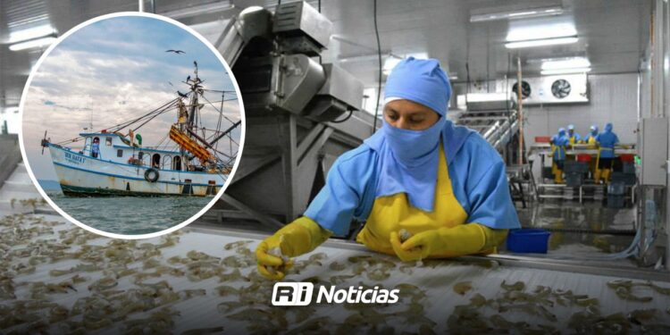 Veda de camarón deja sin empleo a casi 200 mujeres empacadoras en Mazatlán