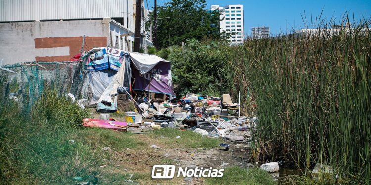 Retiran asentamientos irregulares en zona de la Laguna del Camarón