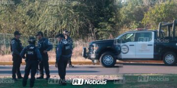 Consejo de Seguridad señala que delitos en Mazatlán presentan tendencia a la baja