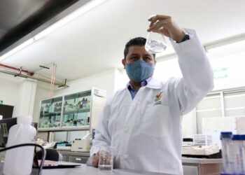 ¡Ciencia para la sociedad! La UAS consolida su liderazgo científico: alcanza los 720 investigadores en el SNII