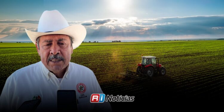 Productores de Mazatlán denuncian abandono total y falta de apoyos al campo