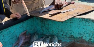 Pescas no repuntan en Playa Norte en Mazatlán