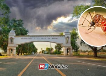 Ahome lidera con 95 casos de dengue en Sinaloa; la entidad registra un acumulado de 200 contagios