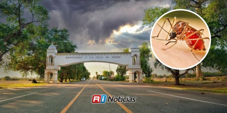 Ahome lidera con 95 casos de dengue en Sinaloa; la entidad registra un acumulado de 200 contagios