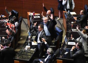 ¿En qué consiste la Ley Valeria y a quienes aplica?