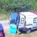 Captan a empresa rescatista de animales abandonando a 2 perritos en la vía pública | VIDEO