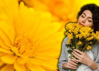 ¿Por qué se regalan FLORES AMARILLAS hoy 21 de marzo?