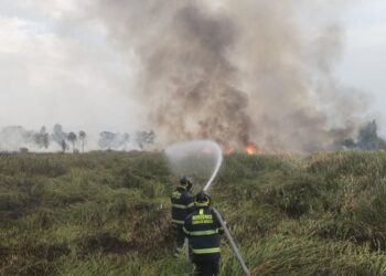 Incendio en Xochimilco arrasa con casi 8 hectáreas de vegetación