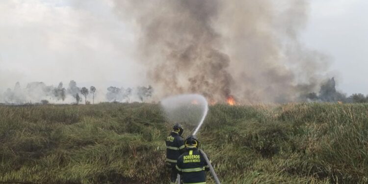 Incendio en Xochimilco arrasa con casi 8 hectáreas de vegetación