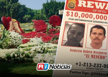 Advierten expertos: Tras la caída del “Mencho”, México se encamina a la era de los “baby cárteles”