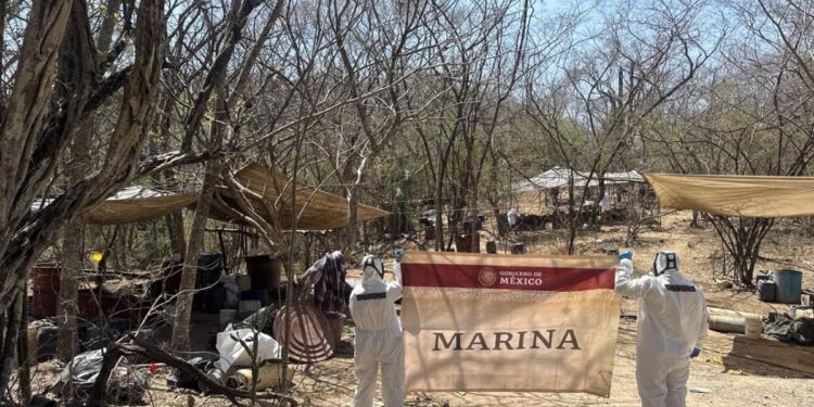 Marina neutraliza narcolaboratorio en Sinaloa